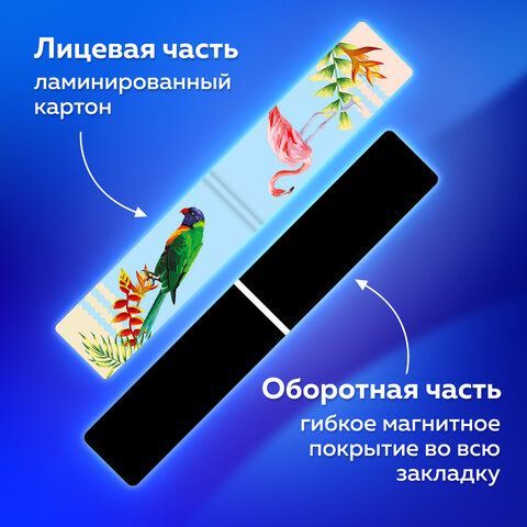 Закладки для книг МАГНИТНЫЕ, &quot;MIX&quot;, набор 30 шт., 60x20 мм, BRAUBERG, 113175