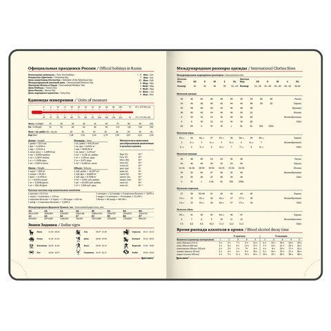 Ежедневник недатированный БОЛЬШОЙ ФОРМАТ 210х297 мм А4, BRAUBERG &quot;Status&quot;, 160л, черный, 113360
