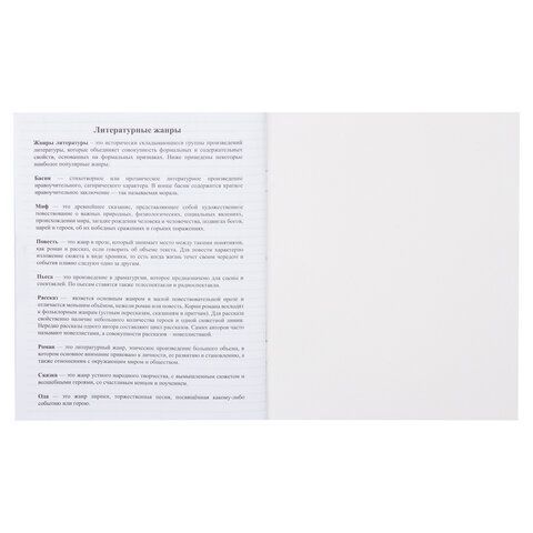 Дневник читательский А5, 40 л., скоба, обложка картон, ПИФАГОР, &quot;Кот учёный&quot;, 113447