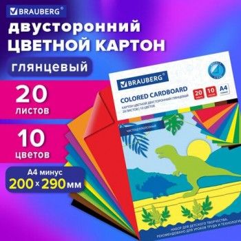 Картон цветной А4 2-сторонний МЕЛОВАННЫЙ EXTRA, 20 листов, 10 цветов, в папке, BRAUBERG, 200х290 мм, 113554