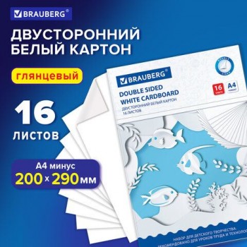 Картон белый А4 МЕЛОВАННЫЙ EXTRA (белый оборот), 16 листов, в папке, BRAUBERG 2 шт., 200х290 мм, 113561