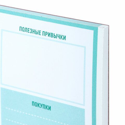 Блокнот-планер НА ДЕНЬ недатированный отрывной с подложкой, 52 л., 148х210 мм, BRAUBERG, 114216