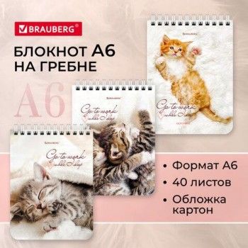 Блокнот МАЛЫЙ ФОРМАТ А6 108х145 мм, 40 л., гребень, картон, клетка, BRAUBERG 6 шт., "Милые котята", 114391