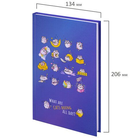Блокнот А5 (134х206 мм), 80 л., твёрдый, клетка, BRAUBERG KIDS 2 шт., &quot;Радужные котики&quot;, 114417