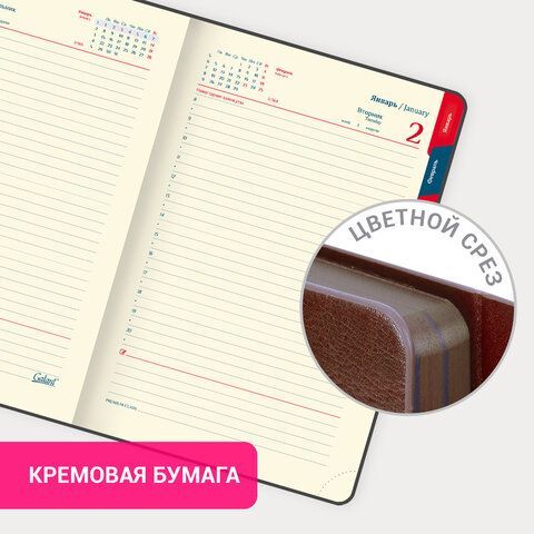 Ежедневник датированный 2024 А5 148х218 мм GALANT &quot;Magnetic&quot;, под кожу, клапан, коричневый, 114757