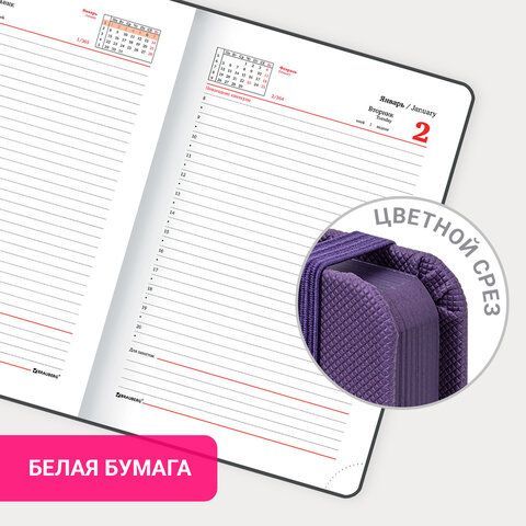 Ежедневник датированный 2024 А5 138х213 мм BRAUBERG &quot;Plain&quot;, под кожу, с резинкой, фиолетовый, 115001