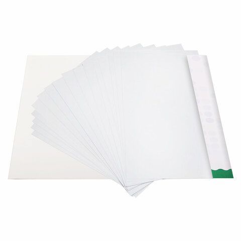 Картон белый А4 МЕЛОВАННЫЙ EXTRA (белый оборот) 20 листов папка, BRAUBERG KIDS, 203х283 мм, 115160