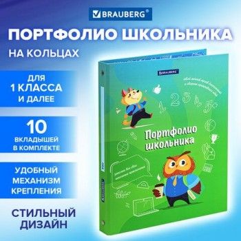 Папка-портфолио школьника "ОТЛИЧНИК", 4 кольца, 20 файлов, 10 вкладышей, 7БЦ матовая, BRAUBERG, 115240