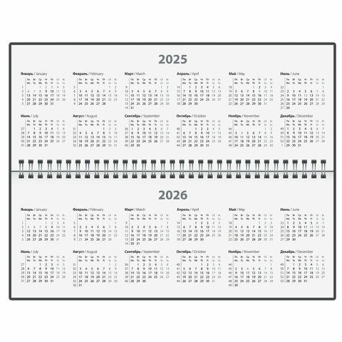 Планинг датированный 2025 285х112мм, STAFF, гребень, картонная обложка, 64л, Минимал, 116050