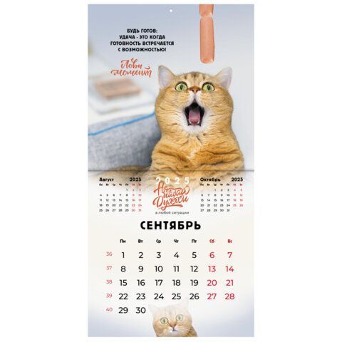 Календарь настенный перекидной 2025г, BRAUBERG, 12 листов, 29х29см, &quot;Не падай духом&quot;, 116163