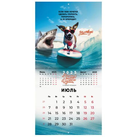 Календарь настенный перекидной 2025г, BRAUBERG, 12 листов, 29х29см, &quot;Не падай духом&quot;, 116163