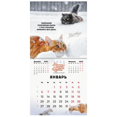 Календарь настенный перекидной 2025г, BRAUBERG, 12 листов, 29х29см, &quot;Не падай духом&quot;, 116163