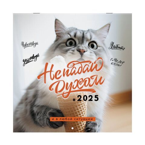 Календарь настенный перекидной 2025г, BRAUBERG, 12 листов, 29х29см, &quot;Не падай духом&quot;, 116163