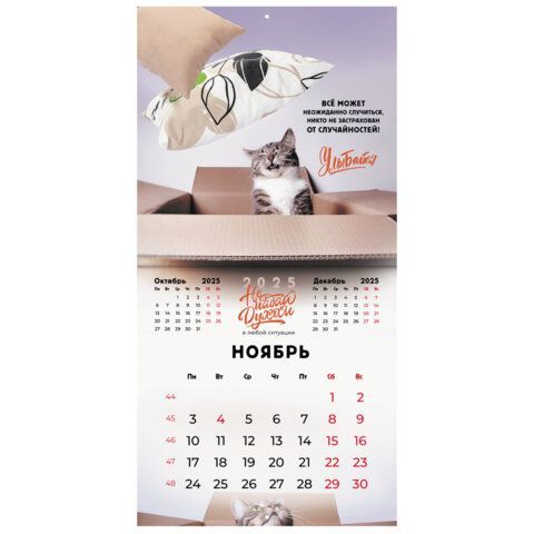 Календарь настенный перекидной 2025г, BRAUBERG, 12 листов, 29х29см, &quot;Не падай духом&quot;, 116163
