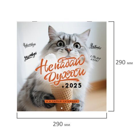 Календарь настенный перекидной 2025г, BRAUBERG, 12 листов, 29х29см, &quot;Не падай духом&quot;, 116163