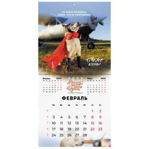 Календарь настенный перекидной 2025г, BRAUBERG, 12 листов, 29х29см, &quot;Не падай духом&quot;, 116163