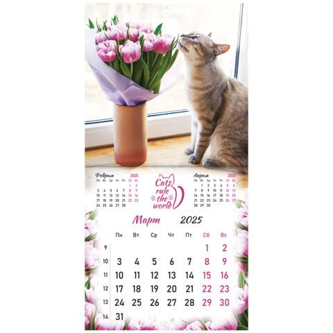 Календарь настенный перекидной 2025г, BRAUBERG, 12 листов, 29х29см, &quot;Милые котики&quot;, 116164