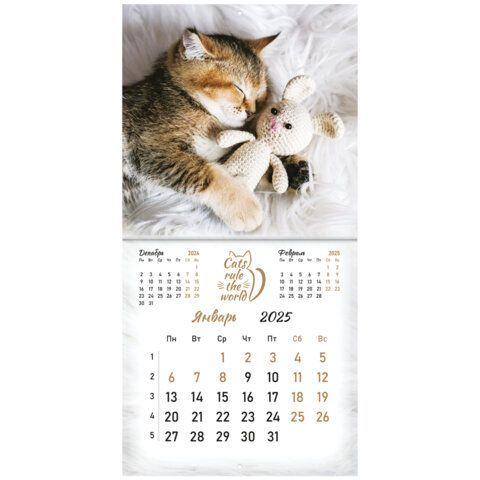 Календарь настенный перекидной 2025г, BRAUBERG, 12 листов, 29х29см, &quot;Милые котики&quot;, 116164