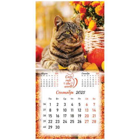 Календарь настенный перекидной 2025г, BRAUBERG, 12 листов, 29х29см, &quot;Милые котики&quot;, 116164