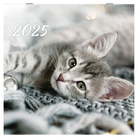 Календарь настенный перекидной 2025г, BRAUBERG, 12 листов, 29х29см, &quot;Милые котики&quot;, 116164
