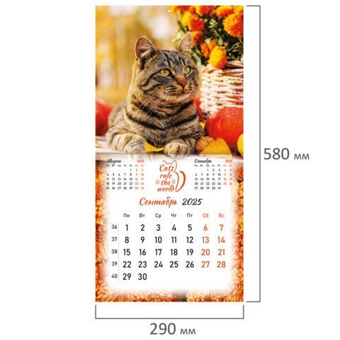 Календарь настенный перекидной 2025г, BRAUBERG, 12 листов, 29х29см, &quot;Милые котики&quot;, 116164