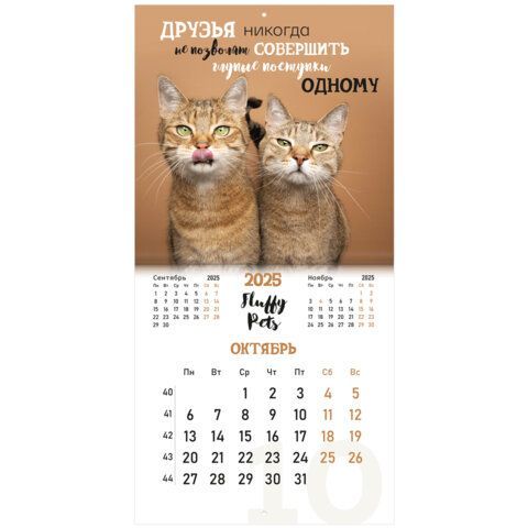 Календарь настенный перекидной 2025г, BRAUBERG, 12 листов, 29х29см, Смешные котики, 116165
