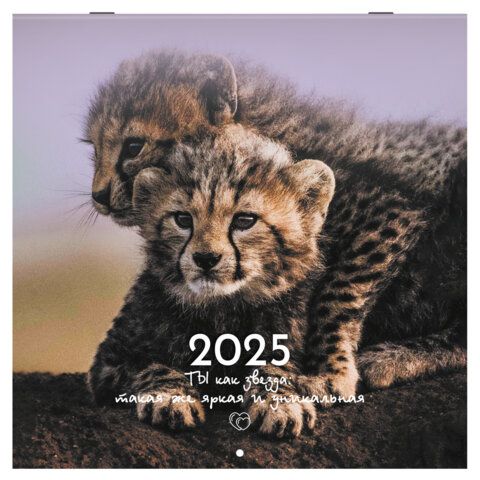 Календарь настенный перекидной 2025г, BRAUBERG, 12 листов, 29х29см, &quot;Детёныши&quot;, 116171