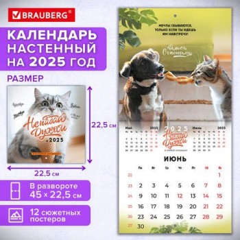 Календарь настенный перекидной 2025г, BRAUBERG, 12 листов, 22,5х22,5см, МИНИ, "Не падай духом", 116178