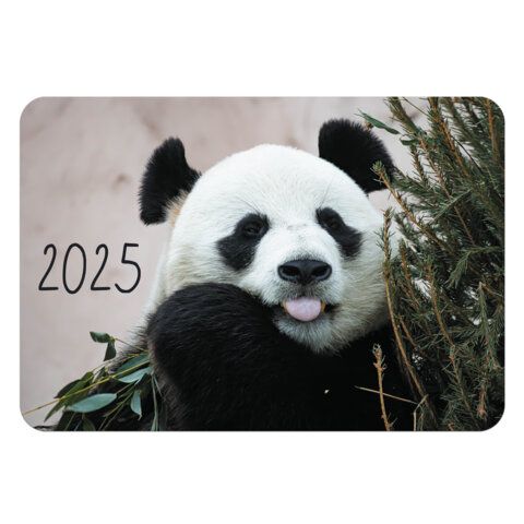 Календарь карманный на 2025г, BRAUBERG 60 шт., 64х93мм Ассорти 20 видов, 116260