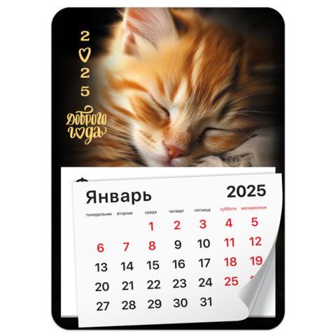 Календарь отрывной на магните 2025, BRAUBERG 3 шт., 130Х180мм, склейка, Котик, 116281