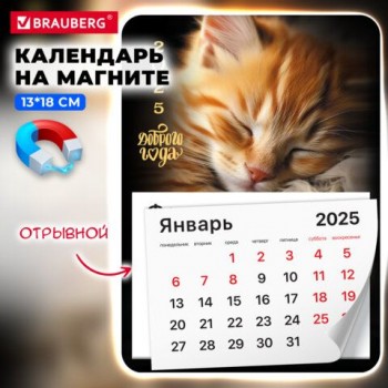 Календарь отрывной на магните 2025, BRAUBERG 3 шт., 130Х180мм, склейка, Котик, 116281
