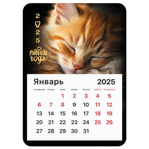 Календарь отрывной на магните 2025, BRAUBERG 3 шт., 130Х180мм, склейка, Котик, 116281