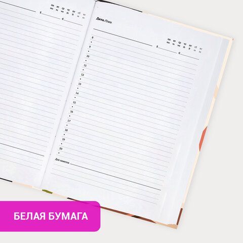 Ежедневник недатированный с резинкой А5 145х203мм, BRAUBERG, твердый, 128л, Vision, 116289