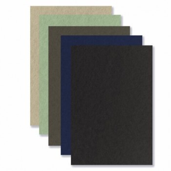 Бумага для пастели А4 в папке, 20 листов 5 цветов, 180 гр/м2, BRAUBERG ART CLASSIC, 116345