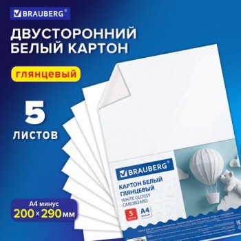 Картон белый А4 МЕЛОВАННЫЙ (белый оборот) 5 листов, BRAUBERG 40 шт., 200х290мм, Код 1С, 116626