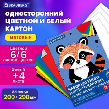 Набор картона БЕЛЫЙ+ЦВЕТНОЙ А4 немелованный, 10л. (белый 4л + цветной 6л), в папке, B, 116631