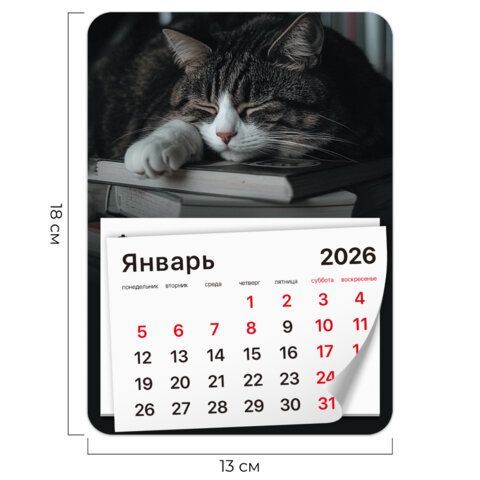 Календарь отрывной на магните 2026, BRAUBERG 3 шт., 130Х180мм, склейка, Спящий кот, 117292