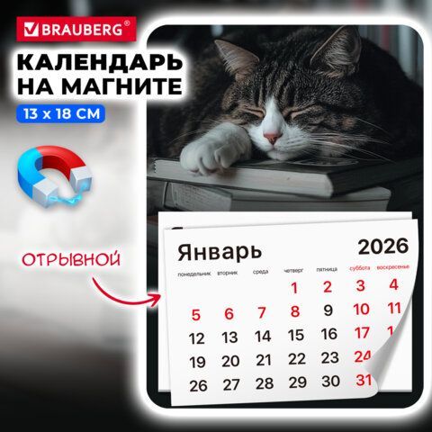 Календарь отрывной на магните 2026, BRAUBERG 3 шт., 130Х180мм, склейка, Спящий кот, 117292