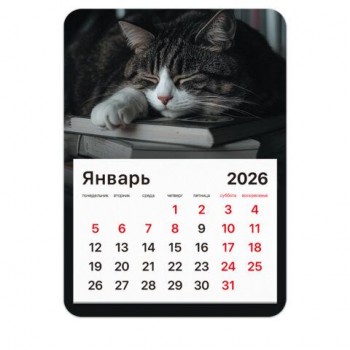Календарь отрывной на магните 2026, BRAUBERG 3 шт., 130Х180мм, склейка, Спящий кот, 117292