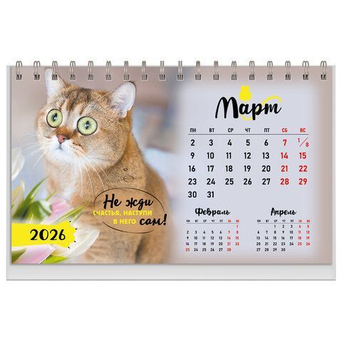 Календарь-домик настольный на гребне, 2026г, BRAUBERG, 160х110мм, 6 листов, Котики, 117296