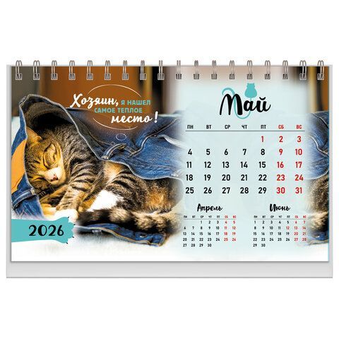 Календарь-домик настольный на гребне, 2026г, BRAUBERG, 160х110мм, 6 листов, Котики, 117296