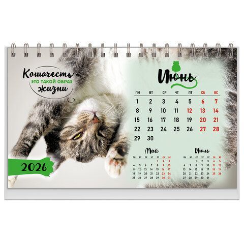 Календарь-домик настольный на гребне, 2026г, BRAUBERG, 160х110мм, 6 листов, Котики, 117296