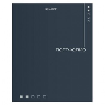 Папка-портфолио универсальная, 4 кольца, 20 файлов 10 вкладышей, 7БЦ матовая, BRAUBERG, 117553
