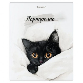 Папка-портфолио универсальная, 4 кольца, 20 файлов 10 вкладышей, 7БЦ матовая, BRAUBERG, 117557