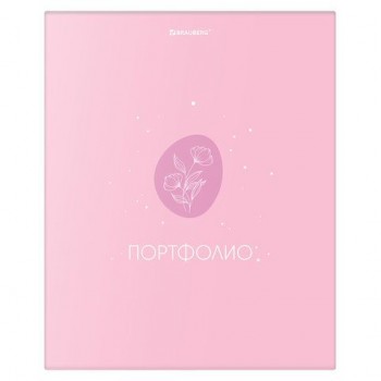 Папка-портфолио универсальная, 4 кольца, 20 файлов 10 вкладышей, 7БЦ матовая, BRAUBERG, Дизайн2, 117558