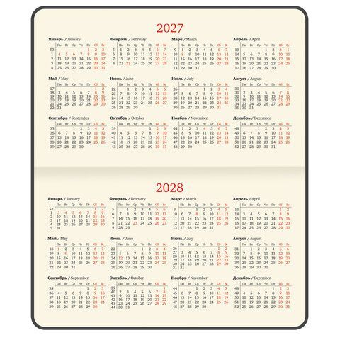 Еженедельник датированный 2027 МАЛЫЙ ФОРМАТ 105х160мм А6 BRAUBERG Unique, красный, 118164