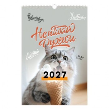 Календарь на гребне с ригелем 2027г, BRAUBERG, 12 листов, 30,0х45,0 см, "Не падай духом", 118385