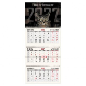 Календарь квартальный на 2027 г., 3 блока, 3 гребня, бегунок, мелованная бумага, BRAUBERG FUN, "Sad cat", 118406