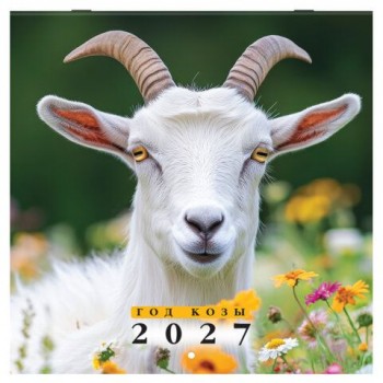 Календарь настенный перекидной 2027г, BRAUBERG, 12 листов, 28,5х28,5см, "Символ года", 118414