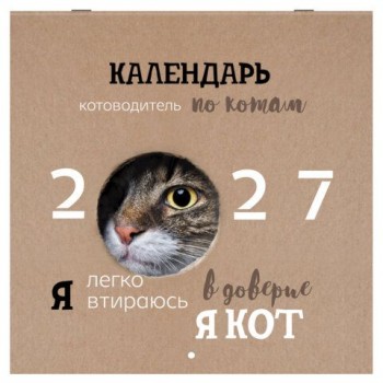 Календарь настенный перекидной 2027г, BRAUBERG, 12 листов, 28,5х28,5см, "Смешные котики", 118430